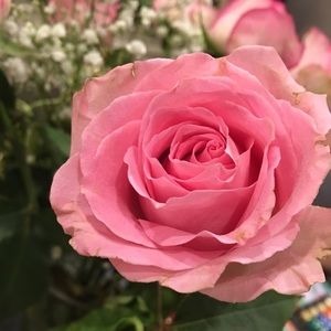 Meet your Posher, Colleen